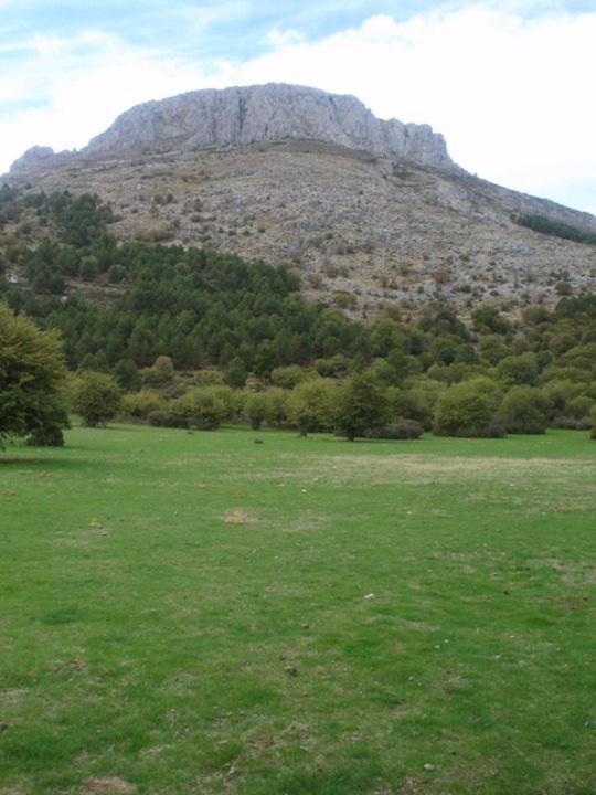 Casa Rural Casa Gonzalo Guest House Belmez de la Moraleda ภายนอก รูปภาพ