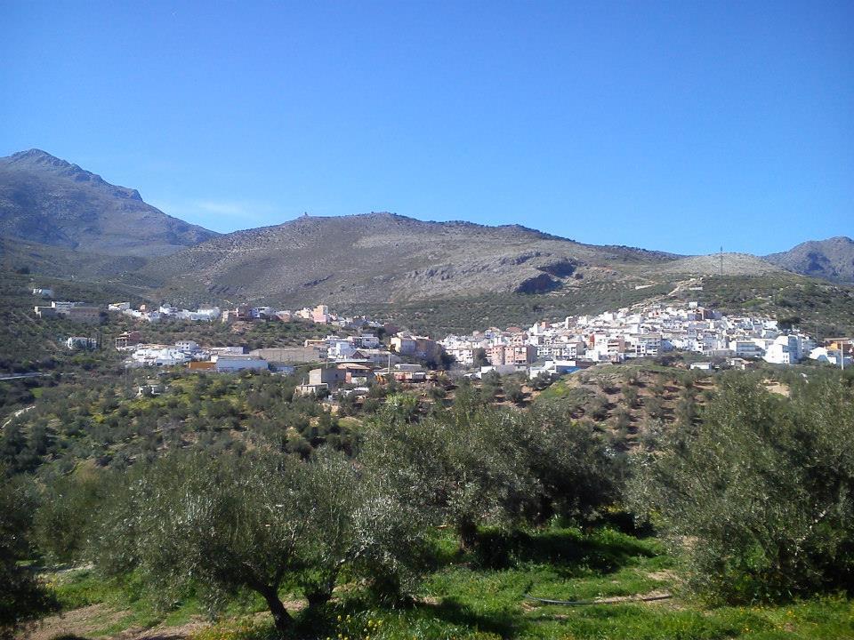 Casa Rural Casa Gonzalo Guest House Belmez de la Moraleda ภายนอก รูปภาพ