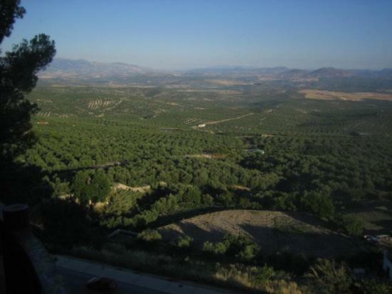 Casa Rural Casa Gonzalo Guest House Belmez de la Moraleda ภายนอก รูปภาพ