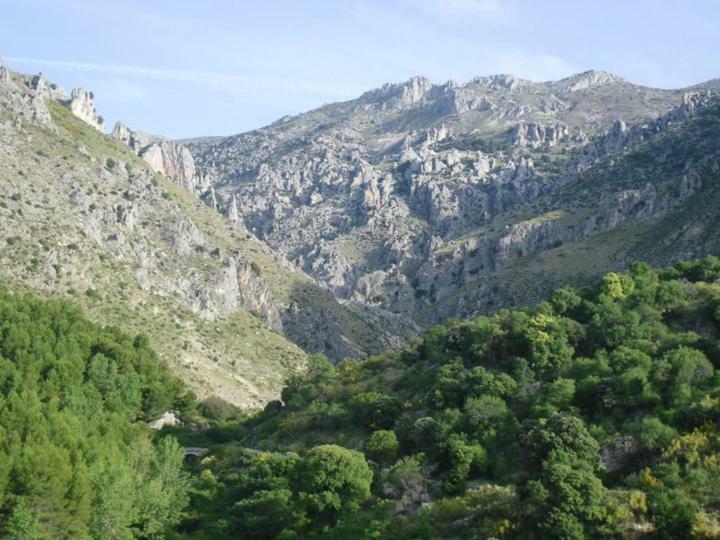 Casa Rural Casa Gonzalo Guest House Belmez de la Moraleda ภายนอก รูปภาพ